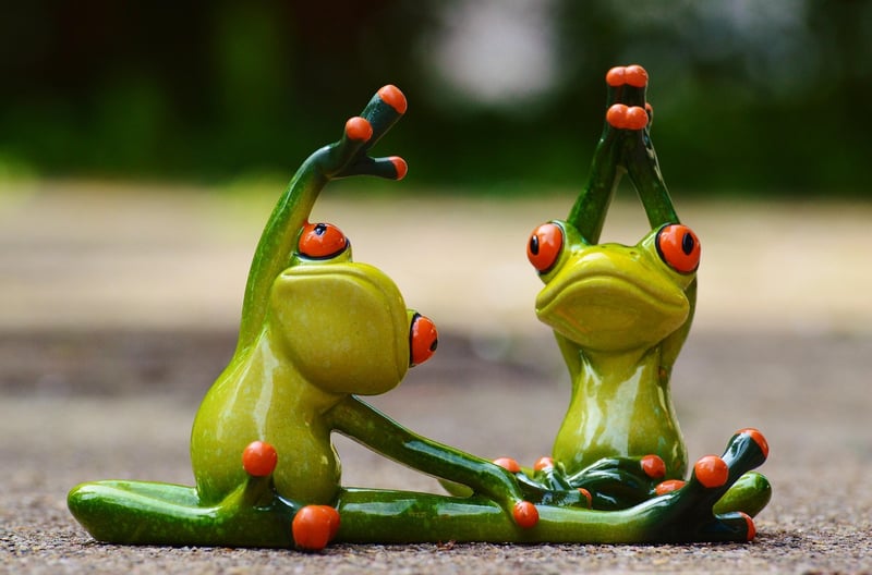 Fitness Exercise